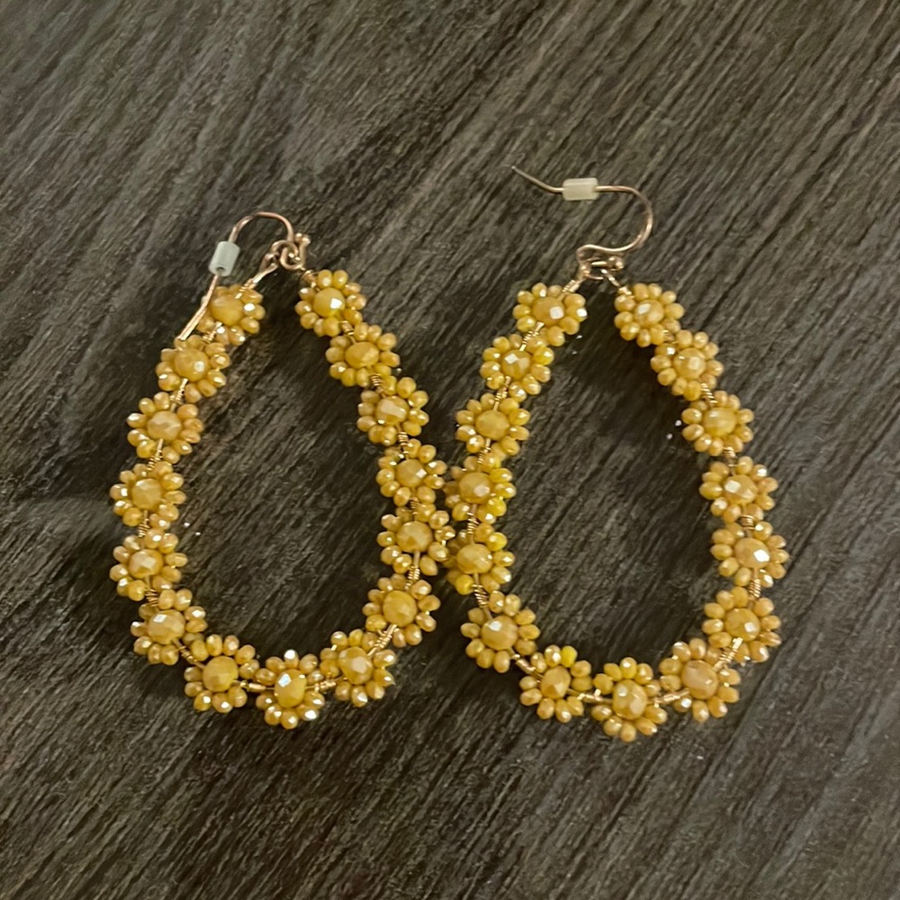 Francesca’s earrings
